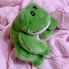 Load image into Gallery viewer, Bath and Bodywork’s Frog plush toy - 6” tall
