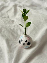 Load image into Gallery viewer, “Ipsley” - Angry Flower Pup - Mini Vase - 3cm - (sku/plu 28)
