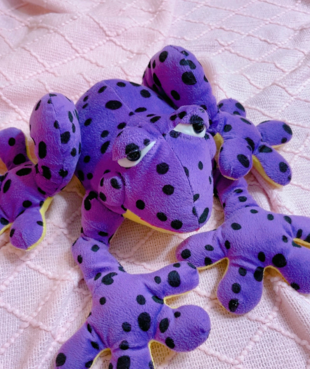 14” long Sugarloaf Froggy plush toy - purple and yellow fella
