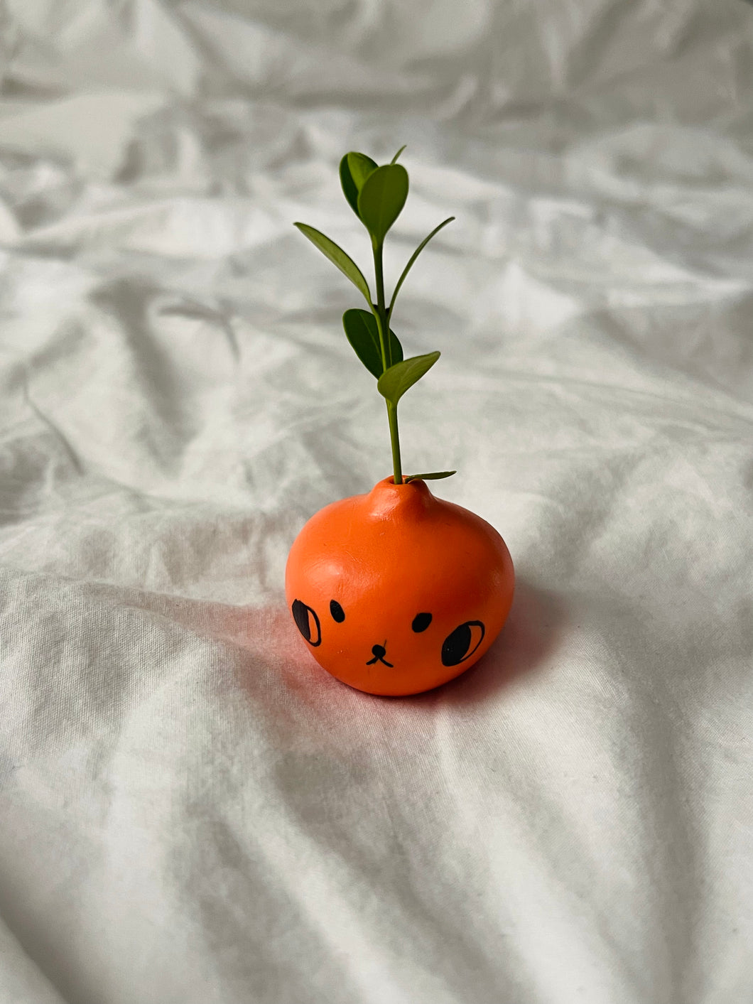 “Nat” - Angry Citrus Pup - Mini Vase - 3cm - (sku/plu 15)