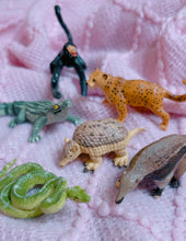 Load image into Gallery viewer, Safari LTD animal toys - monkey, caiman, cheetah, snake, anteater and aardvark - 3”~
