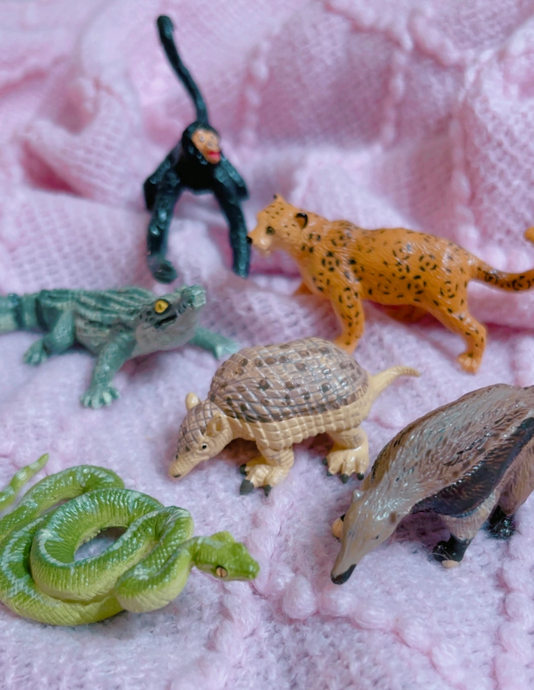 Safari LTD animal toys - monkey, caiman, cheetah, snake, anteater and aardvark - 3”~