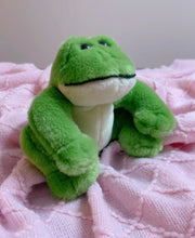 Load image into Gallery viewer, Bath and Bodywork’s Frog plush toy - 6” tall
