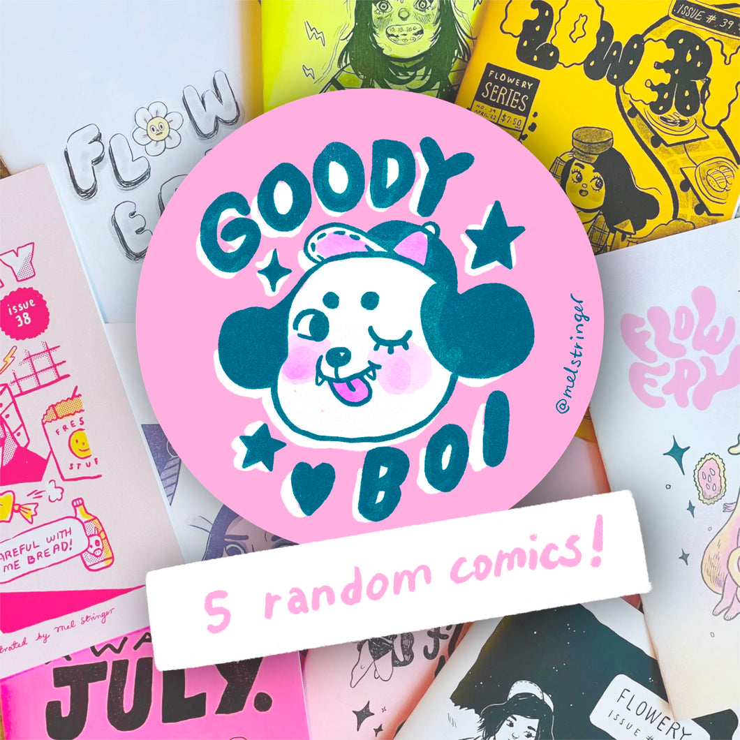 GOODY BOY GOODY BAG : 5 random comics / zines